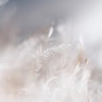 ejercicio guiado con bls visualizar calma paz y tranquilidad