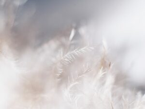 ejercicio guiado con bls visualizar calma paz y tranquilidad