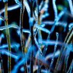 ejercicio guiado de escritura terapeutica diseñado para profundizar en tu interior