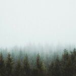 binaural beats bilateral