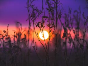 ejercicio de escritura sobre un momento positivo reciente